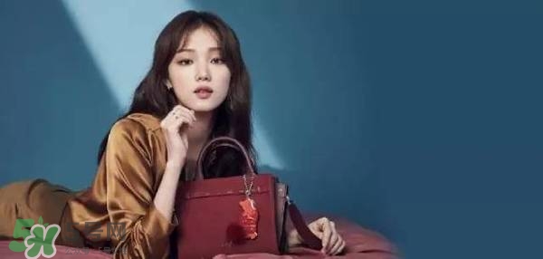 李圣經(jīng)的包包什么牌子？李圣經(jīng)包包同款