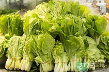 寶寶可以吃小白菜嗎?寶寶吃小白菜好嗎 寶寶可以吃小白菜嗎?寶寶吃小白菜好嗎