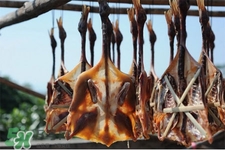 臘鴨腌制好后要曬多久？臘鴨要曬多長時間可以吃？