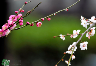 2017年立春是幾月幾號(hào)？2017年什么時(shí)候立春？