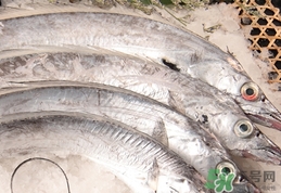 帶魚(yú)不能和什么一起吃?帶魚(yú)不能和什么同吃? 帶魚(yú)不能和什么一起吃?帶魚(yú)不能和什么同吃?