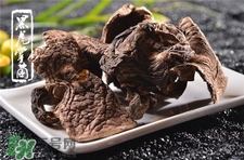 虎掌菌的營養(yǎng)價(jià)值 虎掌菌的功效與作用 虎掌菌的營養(yǎng)價(jià)值 虎掌菌的功效與作用