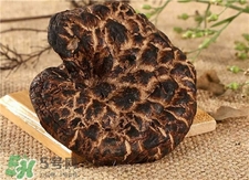 虎掌菌的營養(yǎng)價(jià)值 虎掌菌的功效與作用 虎掌菌的營養(yǎng)價(jià)值 虎掌菌的功效與作用