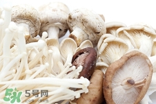 金針菇吃多了有什么害處?金針菇吃多了會中毒嗎 金針菇吃多了有什么害處?金針菇吃多了會中毒嗎