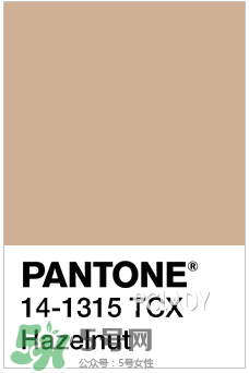 2017年指甲流行什么顏色？2017年流行什么指甲？