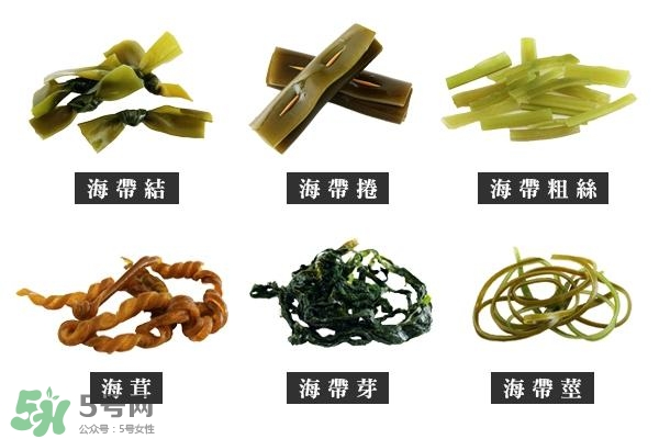 海帶上的白霜是什么？海帶上面有白色的東西那是什么