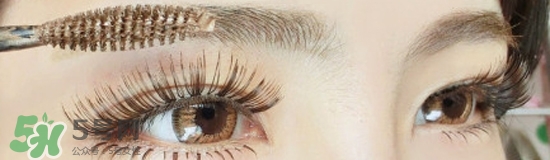 染眉膏怎么用？染眉膏使用方法圖解