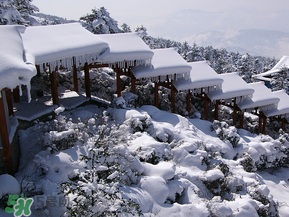 2017年第一場雪什么時候？2017年什么時候下雪？