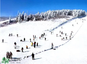 2017年三九四九是什么時(shí)候？2017年四九是哪天？