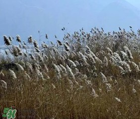 五九是什么時候？2017年五九是哪一天？