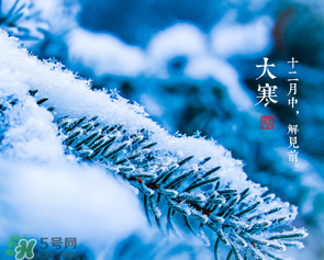 大寒是幾九？2017年大寒是幾九？