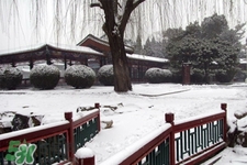 2017年過年會下雪嗎？2017年過年天氣情況