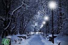 2017年過年會下雪嗎？2017年過年天氣情況