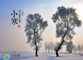 小寒和大寒哪個冷？小寒大寒什么意思？