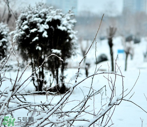 小寒和大寒哪個冷？小寒大寒什么意思？