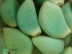 臘八醋里的蒜能吃嗎？臘八醋里的蒜好吃嗎？