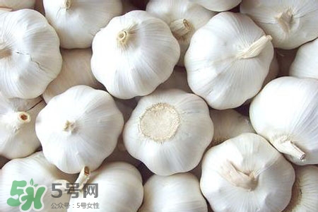 2017過年大蒜會(huì)漲價(jià)嗎？2017年春節(jié)大蒜價(jià)格預(yù)測