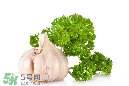 2017過年大蒜會(huì)漲價(jià)嗎？2017年春節(jié)大蒜價(jià)格預(yù)測