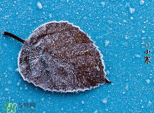 小寒是幾九？2017年小寒是幾九？