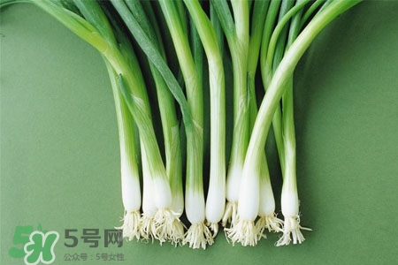 2017過年大蔥會漲價嗎？2017年春節(jié)大蔥價格預(yù)測