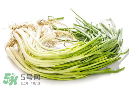 2017過年小蔥會(huì)漲價(jià)嗎？2017年春節(jié)小蔥價(jià)格預(yù)測(cè)