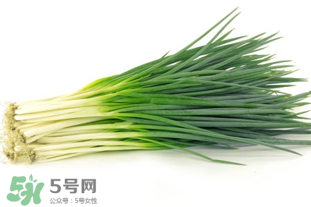 2017過年小蔥會(huì)漲價(jià)嗎？2017年春節(jié)小蔥價(jià)格預(yù)測(cè)