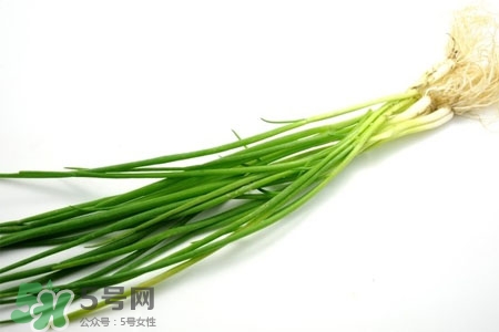 2017過年小蔥會(huì)漲價(jià)嗎？2017年春節(jié)小蔥價(jià)格預(yù)測(cè)