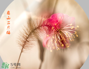 七九是哪一天？2017年七九是哪天？