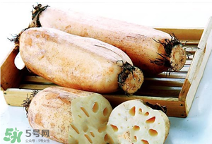 蓮藕多少錢一斤？蓮藕多少錢一斤2017？