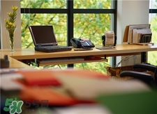 辦公桌上放什么植物好?辦公桌擺放什么吉利?