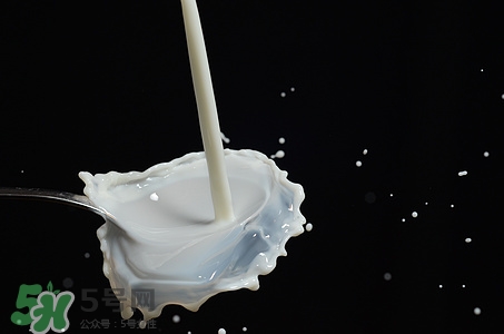 豆?jié){和牛奶哪個更有營養(yǎng)?豆?jié){和牛奶哪個好 豆?jié){和牛奶哪個更有營養(yǎng)?豆?jié){和牛奶哪個好