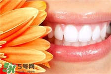 用牙貼前要刷牙嗎?貼牙貼前要刷牙嗎? 用牙貼前要刷牙嗎?貼牙貼前要刷牙嗎?