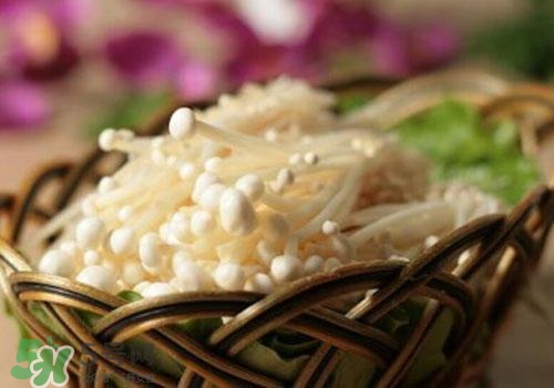 金針菇不能和什么一起吃？金針菇的食用禁忌