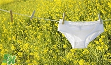 內(nèi)褲用開(kāi)水燙下霉菌能殺死嗎?內(nèi)褲用開(kāi)水燙好嗎? 內(nèi)褲用開(kāi)水燙下霉菌能殺死嗎?內(nèi)褲用開(kāi)水燙好嗎?