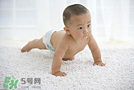 新生兒頭發(fā)豎起來是怎么回事?新生兒頭發(fā)豎起來怎么辦? 新生兒頭發(fā)豎起來是怎么回事?新生兒頭發(fā)豎起來怎么辦?