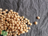 對心臟有益的食物有哪些？對心臟有好處的食物大全