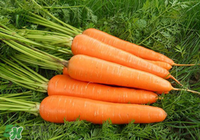 胡蘿卜心變白能吃嗎？胡蘿卜心發(fā)白可以吃嗎？