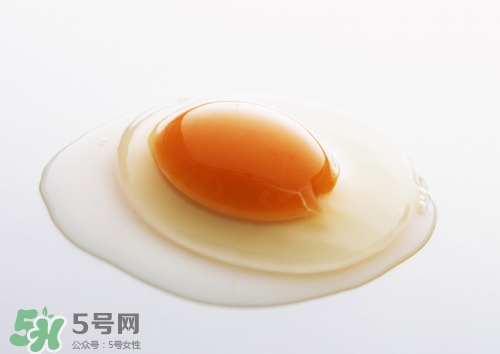 海鴨蛋是什么蛋?海鴨蛋與普通鴨蛋什么分別 海鴨蛋是什么蛋?海鴨蛋與普通鴨蛋什么分別