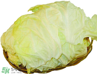 白菜發(fā)苦能吃嗎？大白菜發(fā)苦是什么原因？