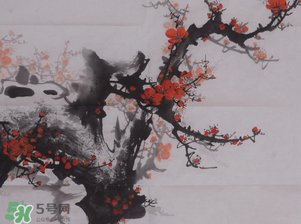 梅花可以放臥室嗎？梅花放在臥室風水好嗎？