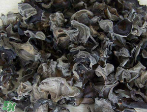 干木耳泡多久可以吃？干木耳泡了兩天還能吃嗎？