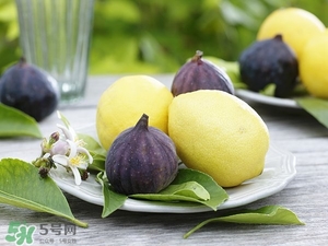 無花果干可以泡水喝嗎?無花果干泡水喝的功效 無花果干可以泡水喝嗎?無花果干泡水喝的功效