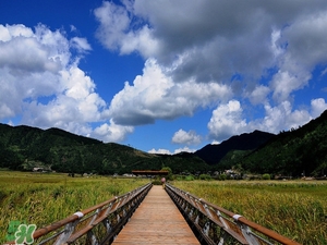 春節(jié)去云南穿什么？云南春節(jié)過年穿什么衣服？