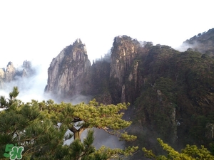 春節(jié)去廈門穿什么衣服？過年春節(jié)廈門穿什么？