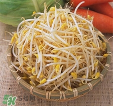 黃豆芽發(fā)黑了還能吃嗎?黃豆芽發(fā)黑了怎么辦? 黃豆芽發(fā)黑了還能吃嗎?黃豆芽發(fā)黑了怎么辦?