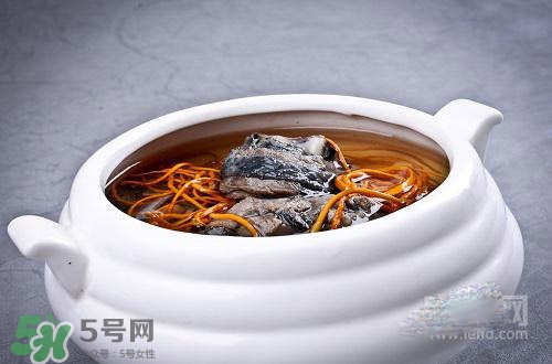 蟲草花怎么吃？蟲草花的吃法用量