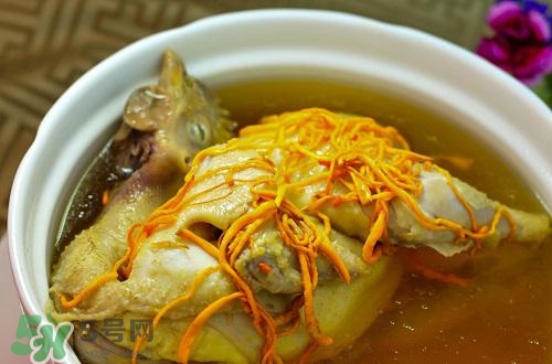 蟲草花怎么吃？蟲草花的吃法用量