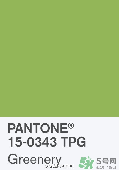 草綠色配什么顏色好看？草綠色和什么顏色最搭？