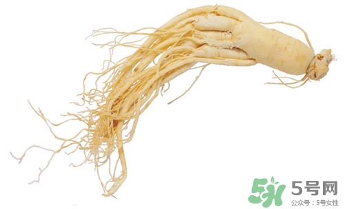 懷孕能吃野山參嗎?孕婦吃野山參好嗎 懷孕能吃野山參嗎?孕婦吃野山參好嗎