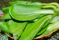 油白菜的營養(yǎng)價值 油白菜的功效與作用 油白菜的營養(yǎng)價值 油白菜的功效與作用